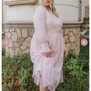 NWT Songbird dress by Ivy City Co